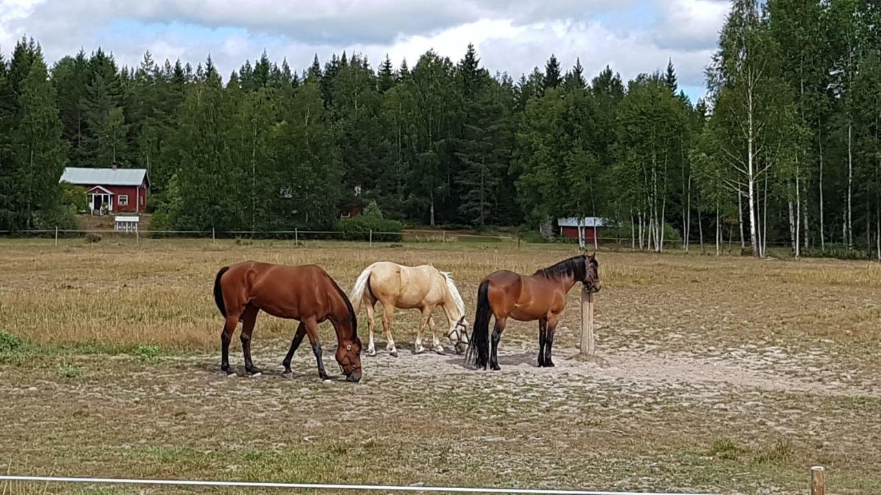 Вилла Stordragen Чиль Экстерьер фото